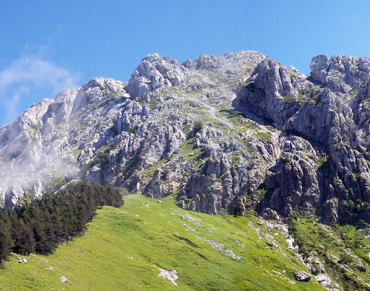 MONTE GRONDILICE, VACCHERECCIA, FORBICE