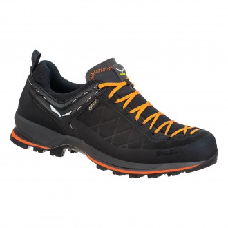 MTN TRAINER 2 GTX MS SALEWA