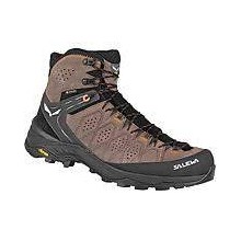 MS ALP TRAINER 2 MID GTX SALEWA